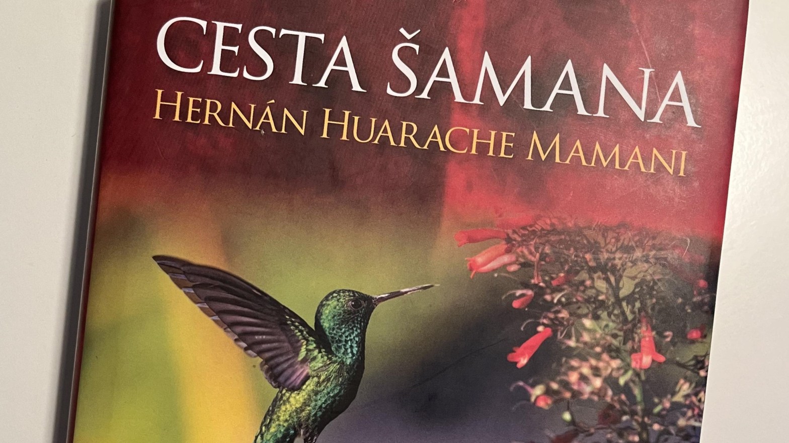 cesta samana